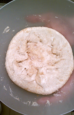 Pizza Dough