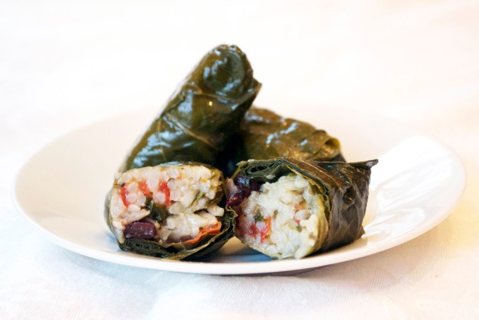GrapeLeaves8
