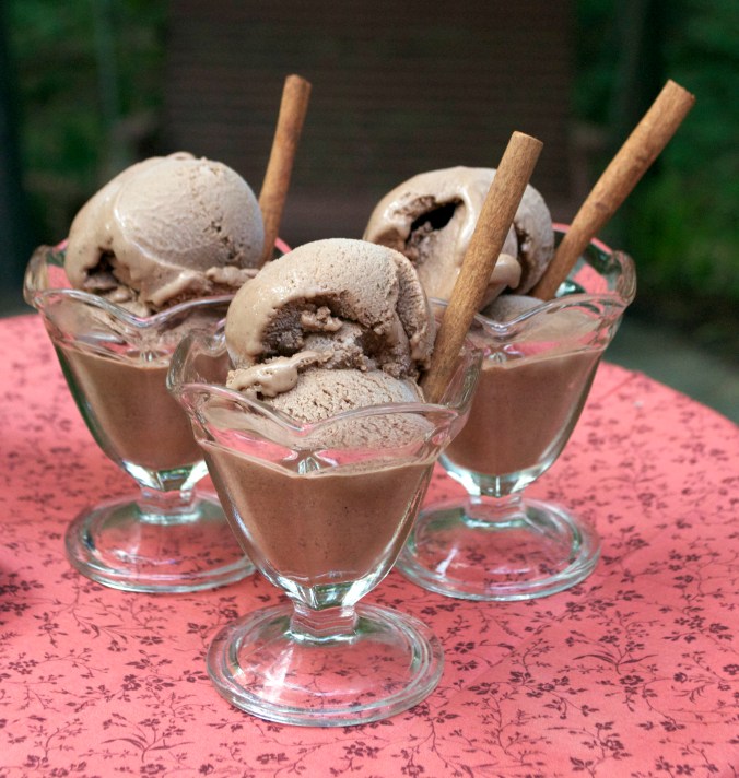 MexicanChocolateIceCream